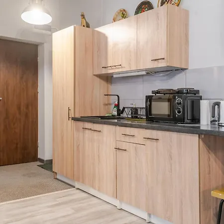 アパート Strzelecka By Bookinghost カトヴィツェ